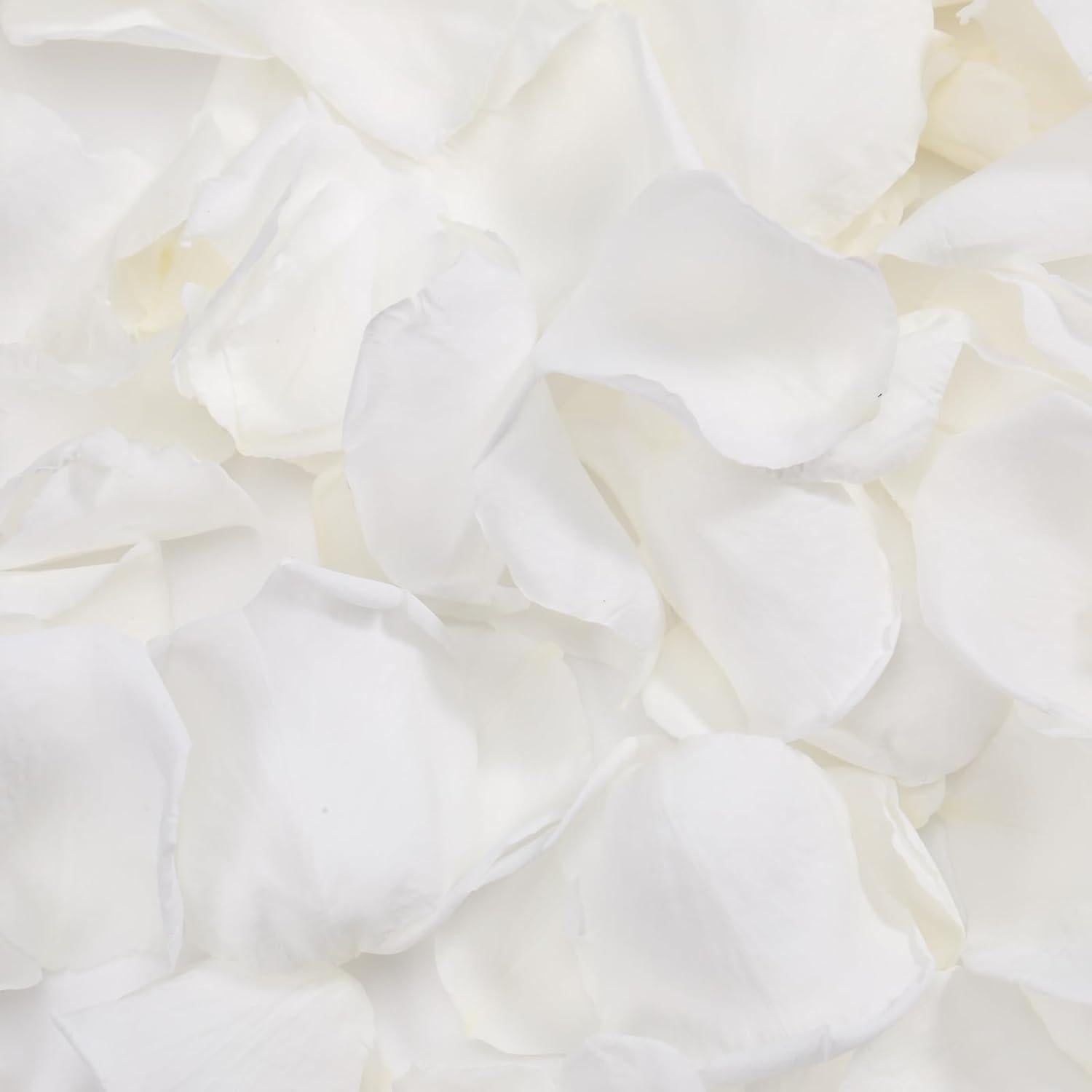 Pétalos de Rosa Secos Blancos Tavkite - 140 Unidades para Decoración