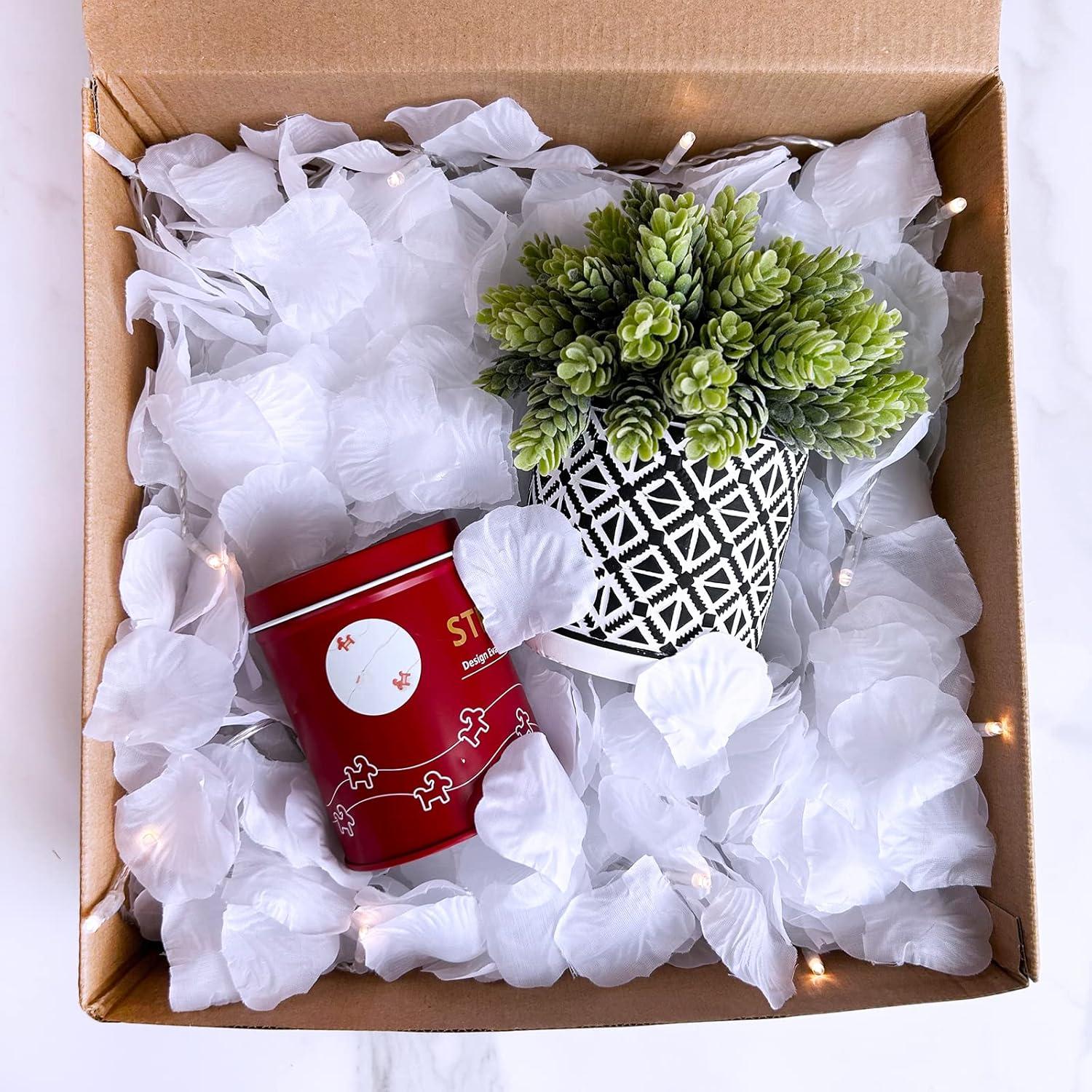 Pétalos de Rosa de Seda Blanca Winlyn - 3000 Pcs Decoración Boda