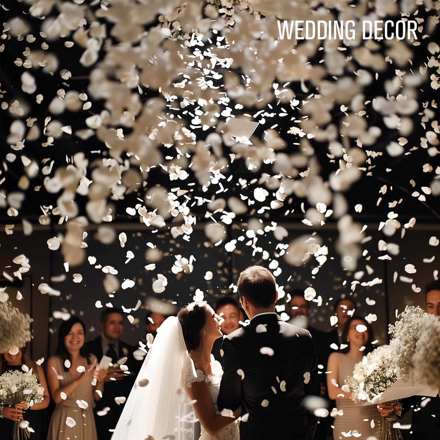 Pétalos de Rosa Preservados Rosaura 50g para Decoración