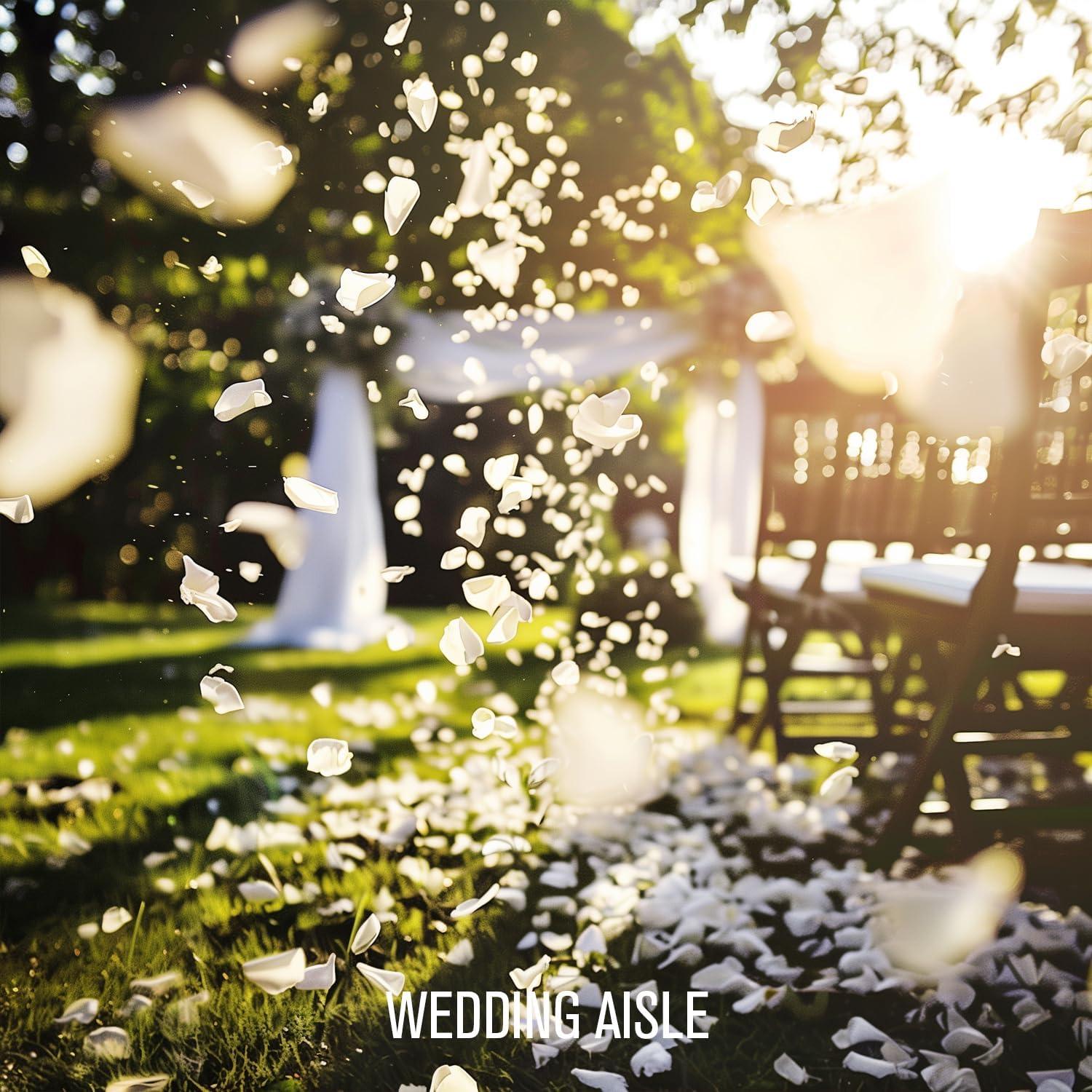 Pétalos de Rosa Preservados Rosaura 50g para Decoración