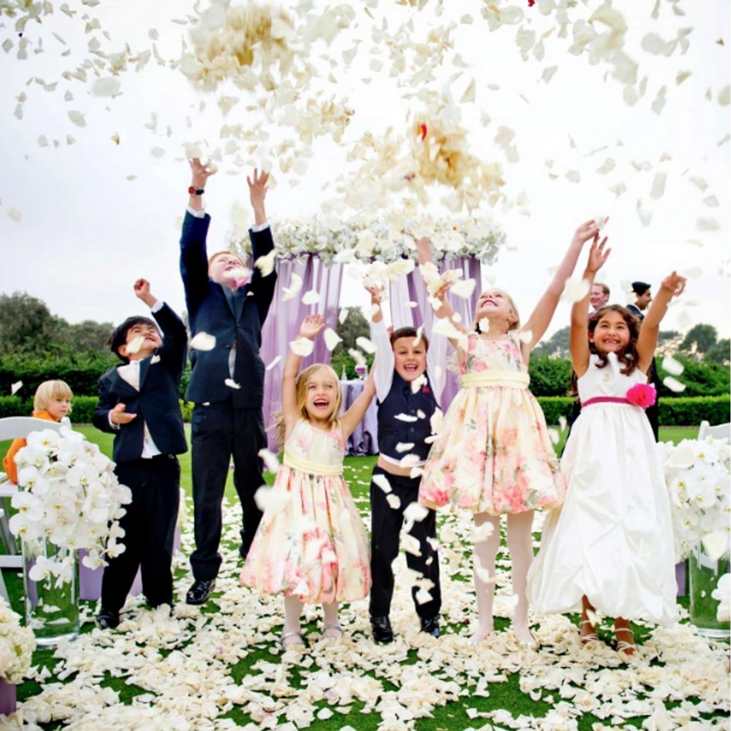 Pétalos de Rosa de Seda CODE FLORIST 2200 Pcs Marfil