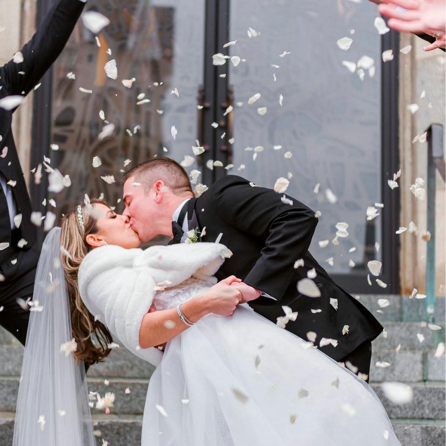 Pétalos de Rosa de Seda CODE FLORIST 2200 Pcs Marfil