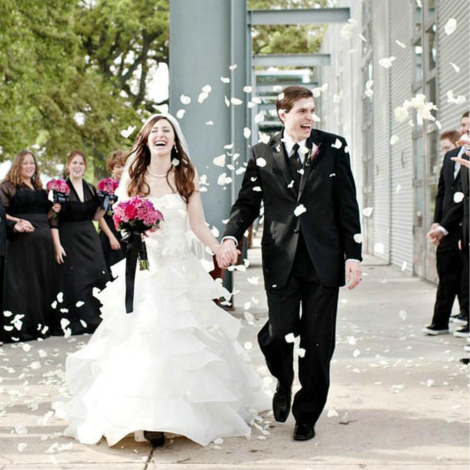 Pétalos de Rosa de Seda CODE FLORIST 2200 Pcs Marfil