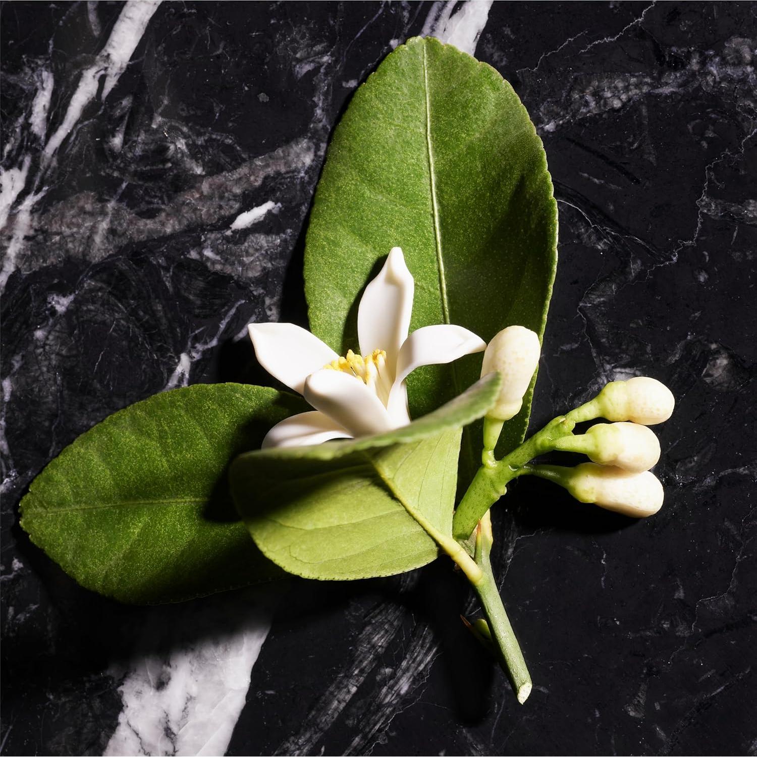 Desodorante en Spray JOOP! Homme 73.93 ml - Notas de Canela y Jazmín