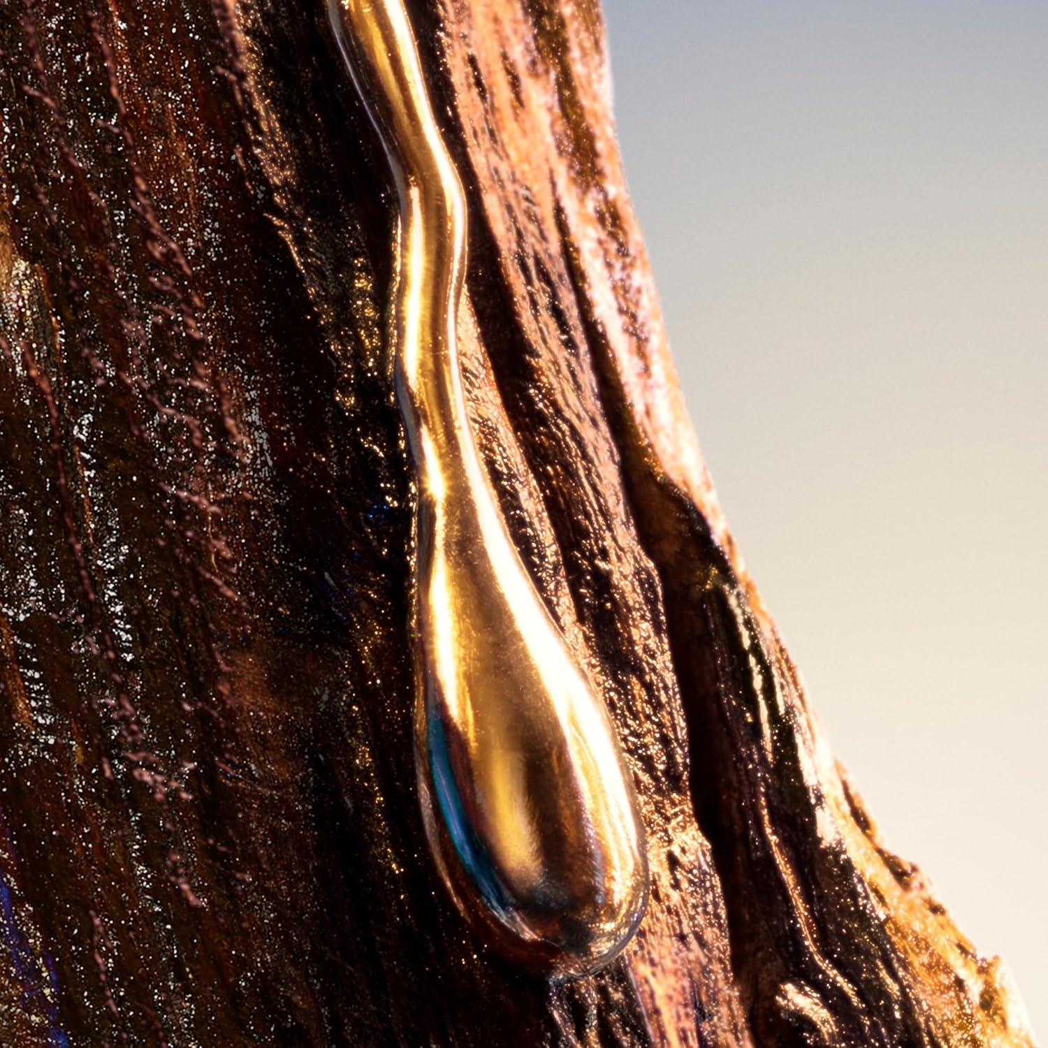 Desodorante Davidoff Cool Elixir 170g - Amaderado y Fresco