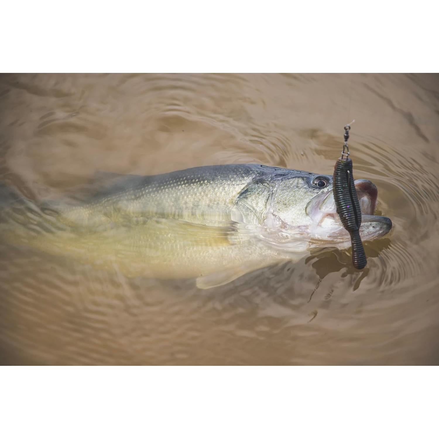 Cebo de pesca Gary Yamamoto Yamatanuki 3.5" 17.75g Sandía