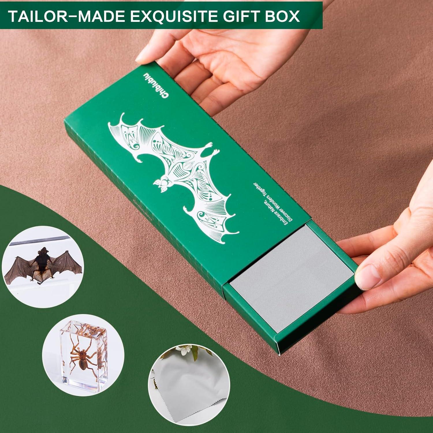 Murciélago de Taxidermia Chibiubiu en Resina 14x6.4 cm