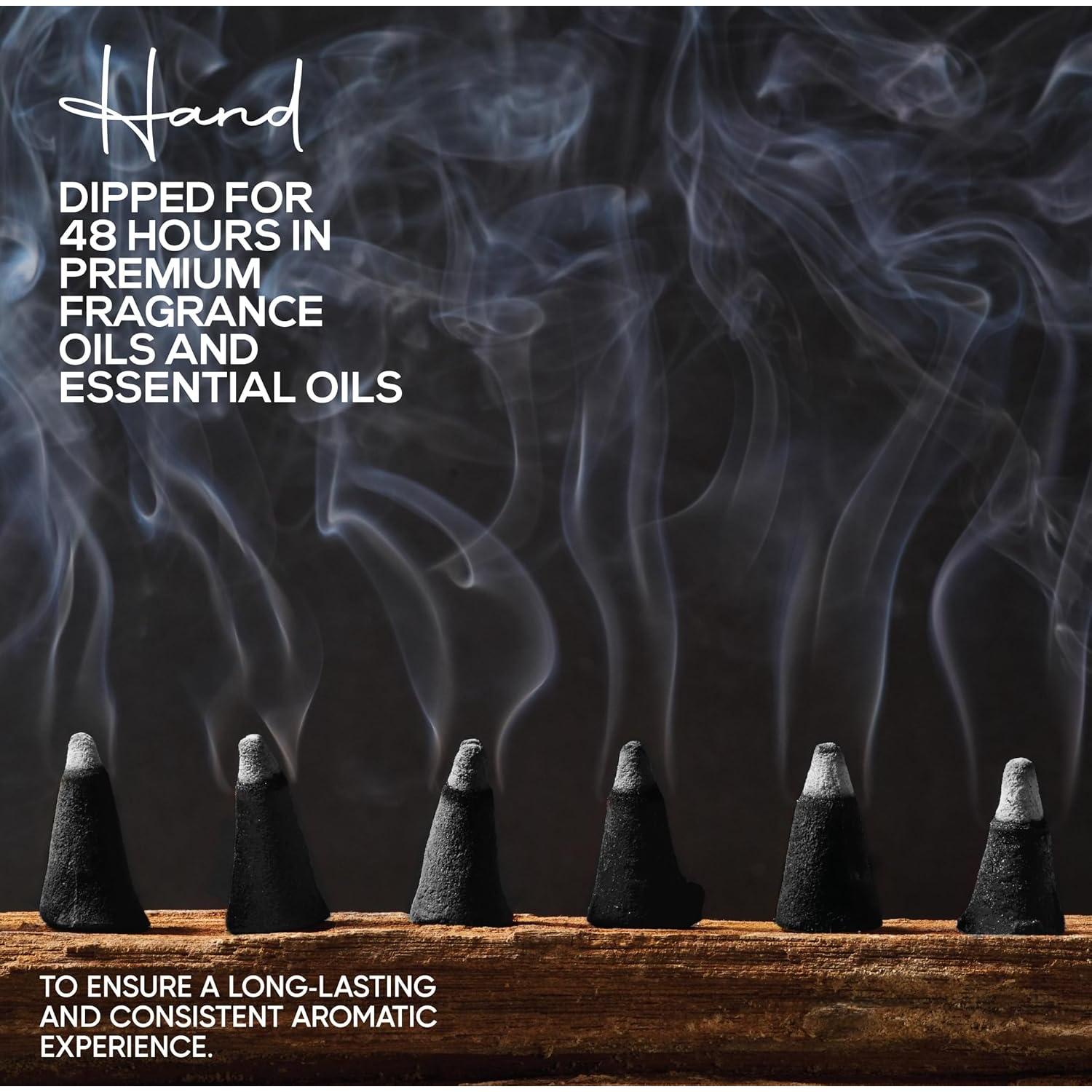 Conos de Incienso de Carbón Plant Guru Almizcle Egipcio 50 Unidades