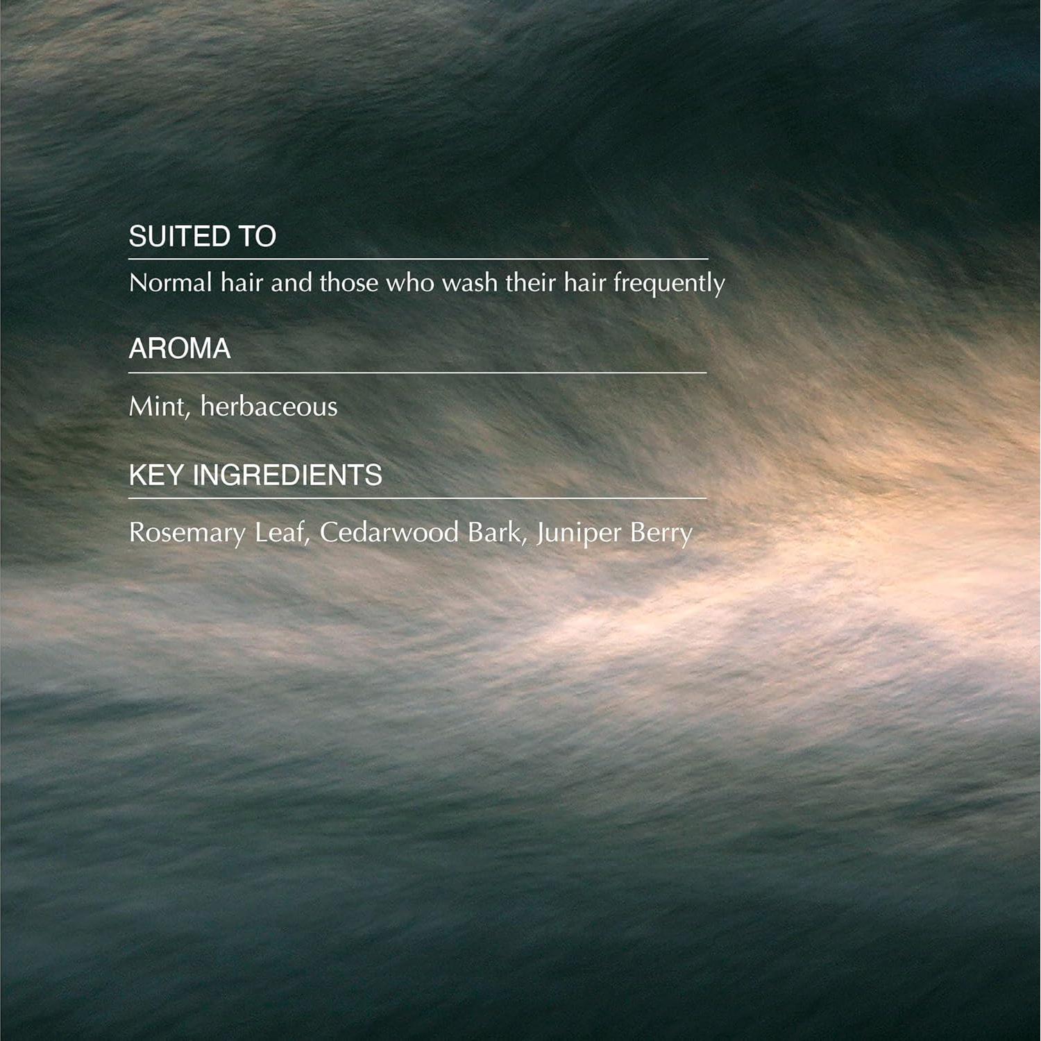 Champú Clásico Aesop 500 mL | Suave y Brillante | Romero