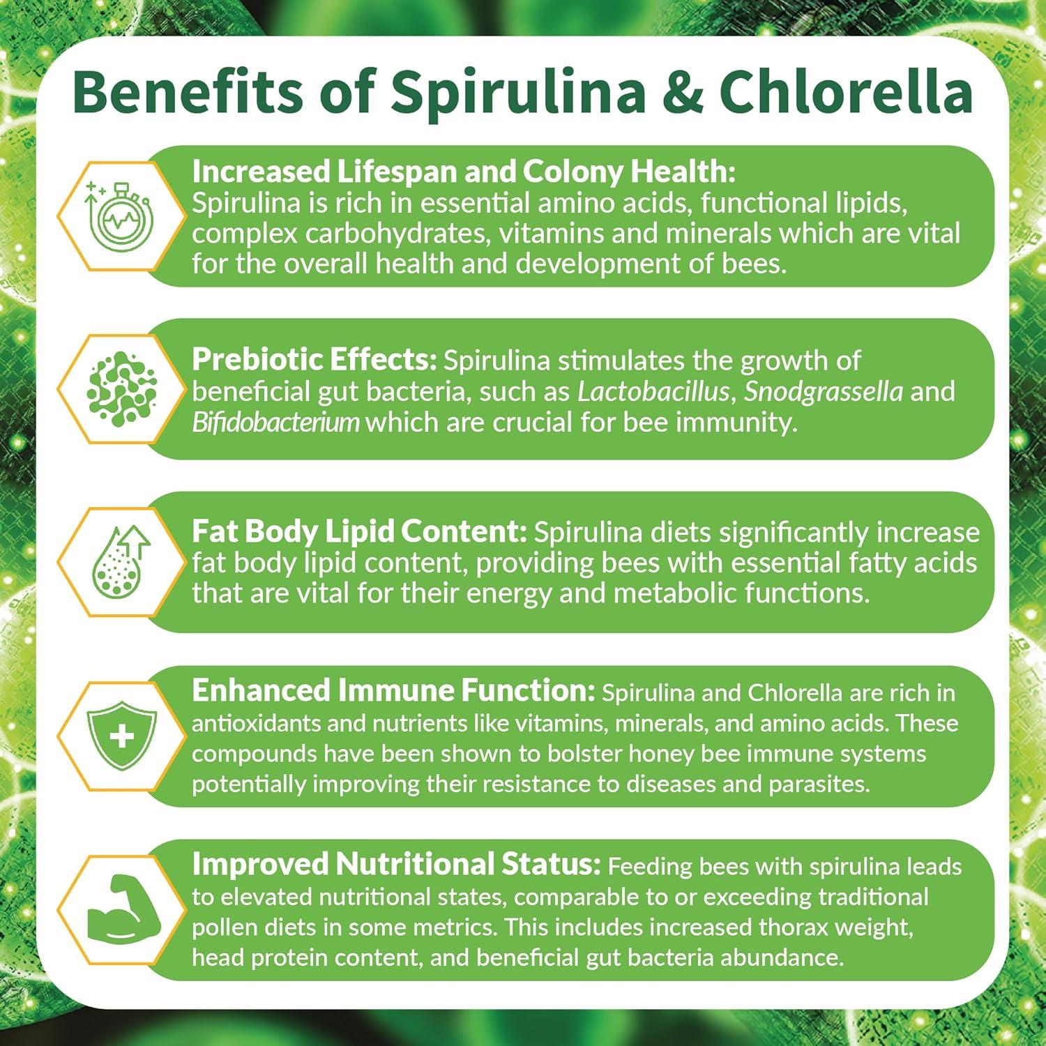 BeeBites Superalimento para Abejas - Fondant con Espirulina y Chlorella - 10 Barras de 50g