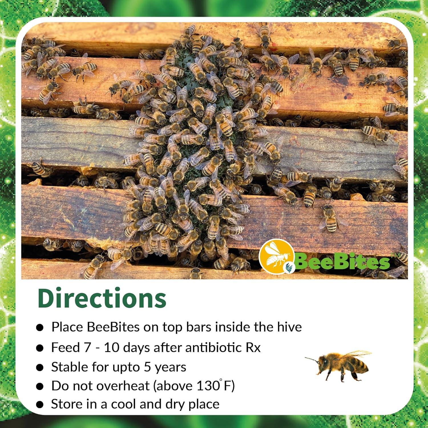 BeeBites Superalimento para Abejas - Fondant con Espirulina y Chlorella - 10 Barras de 50g