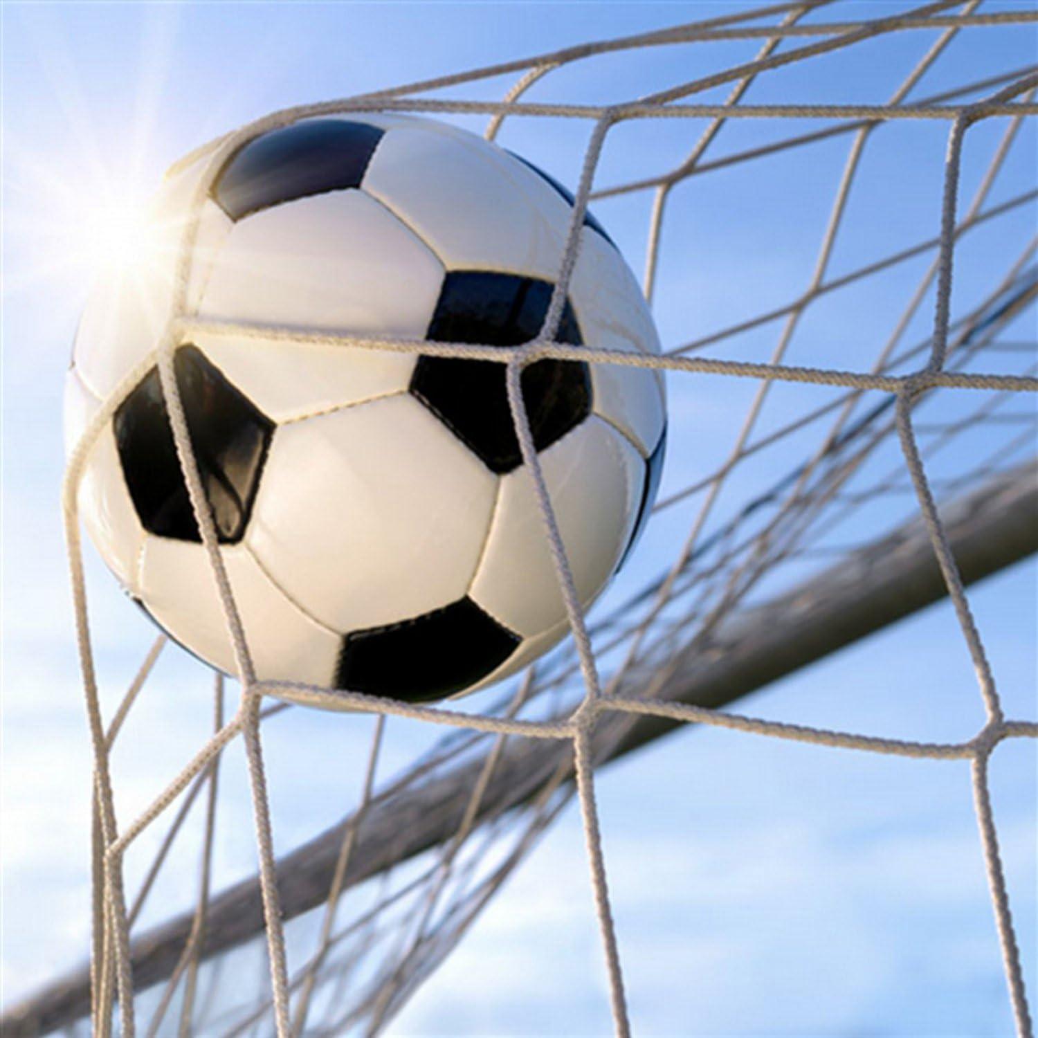 Red de Gol de Fútbol Regpre 6x4 Metros - Juego de 2 Redes