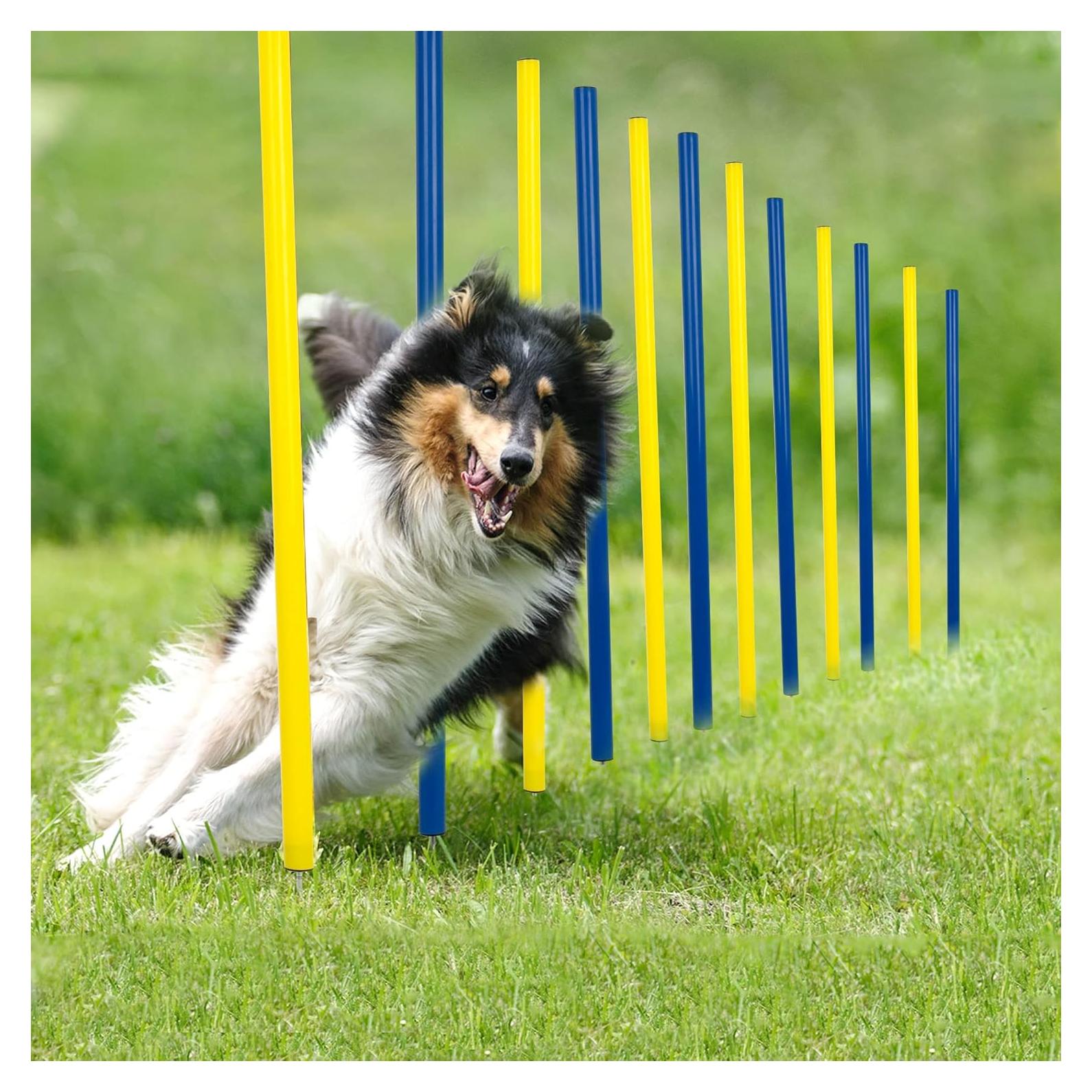 Equipo de Agilidad para Perros Pet Prime 12 Postes Tejer 115.8cm