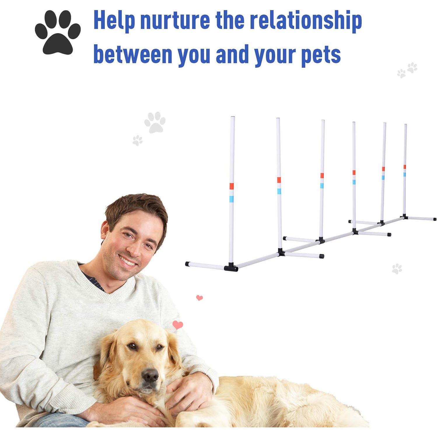 Conjunto de Obstáculos de Agilidad PawHut para Perros Ajustable