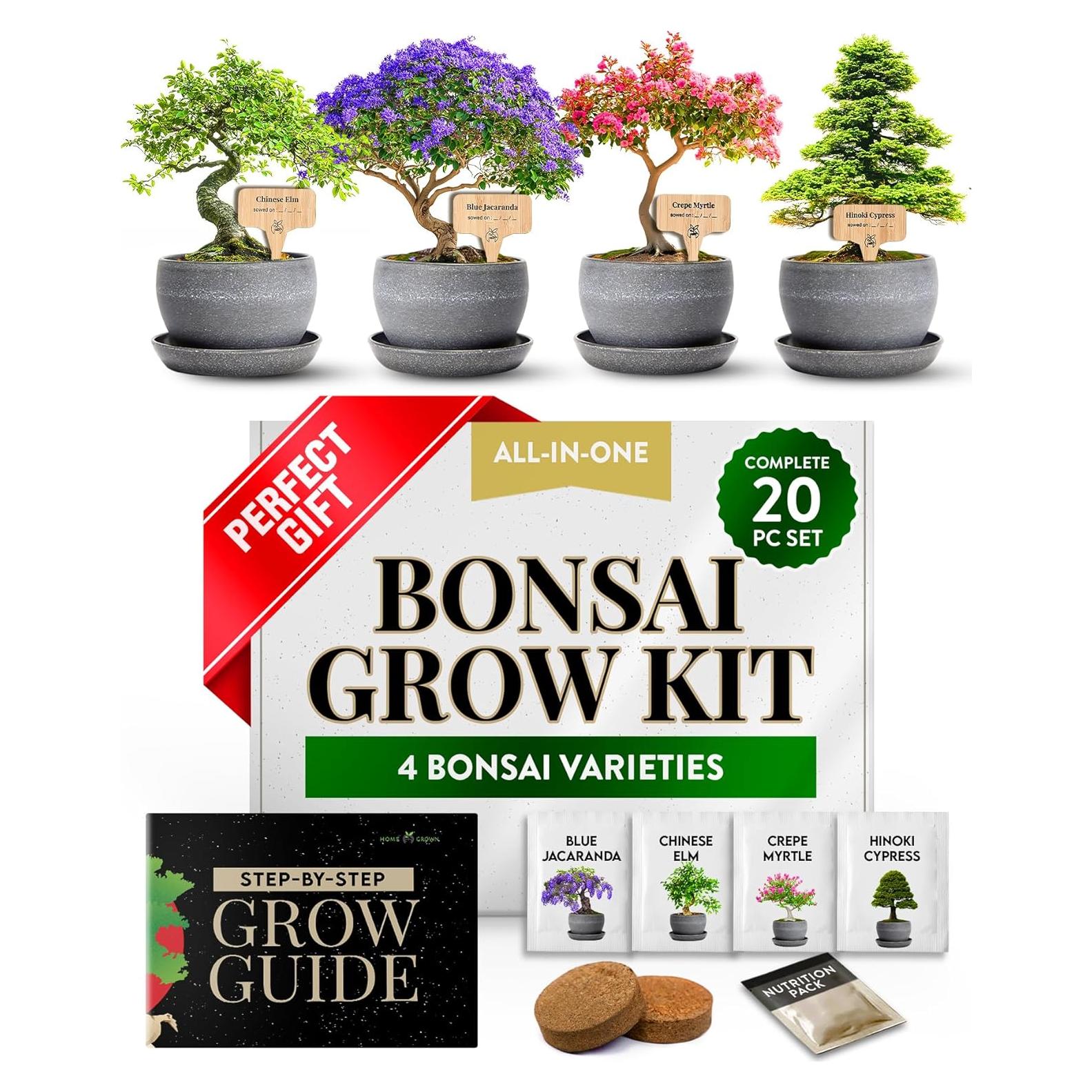 Kit Bonsai Home Grown - Cultiva 4 Especies en Casa