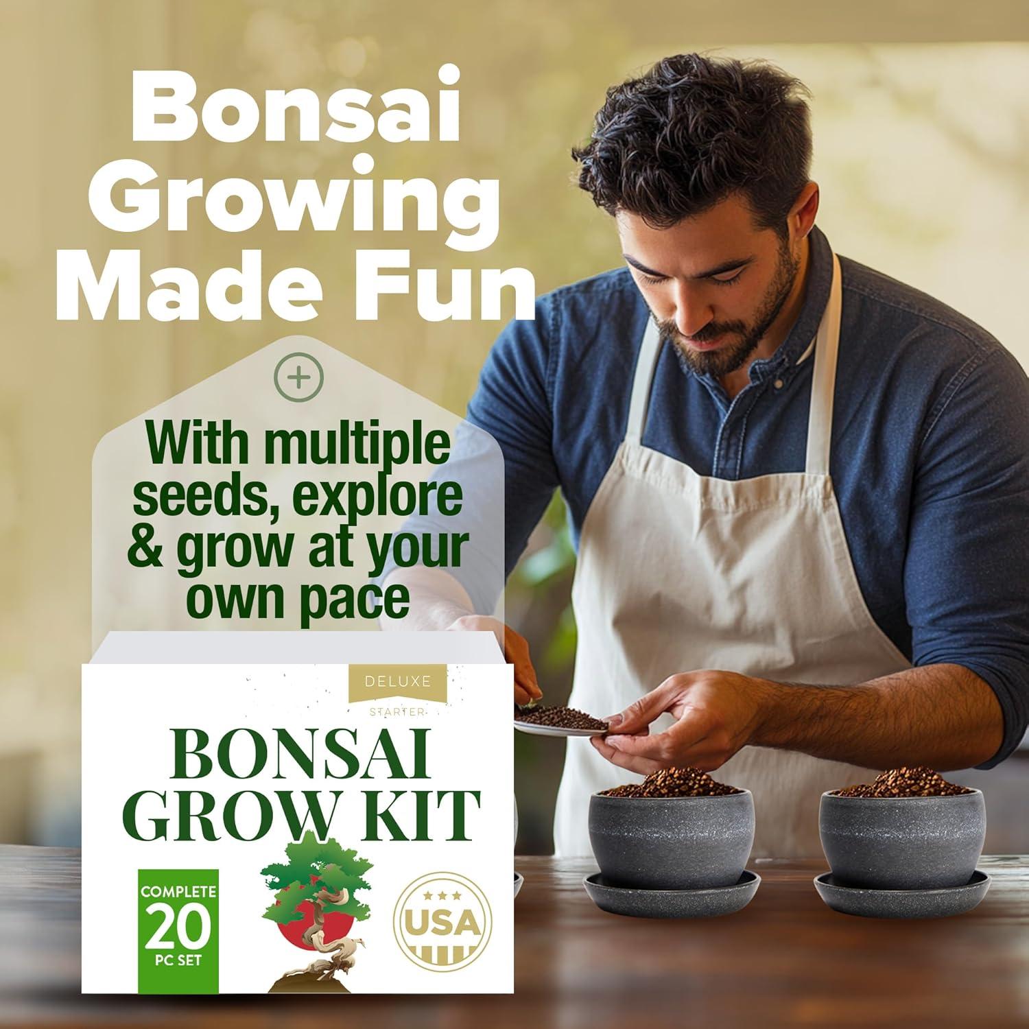 Kit Bonsai Home Grown - Cultiva 4 Especies en Casa