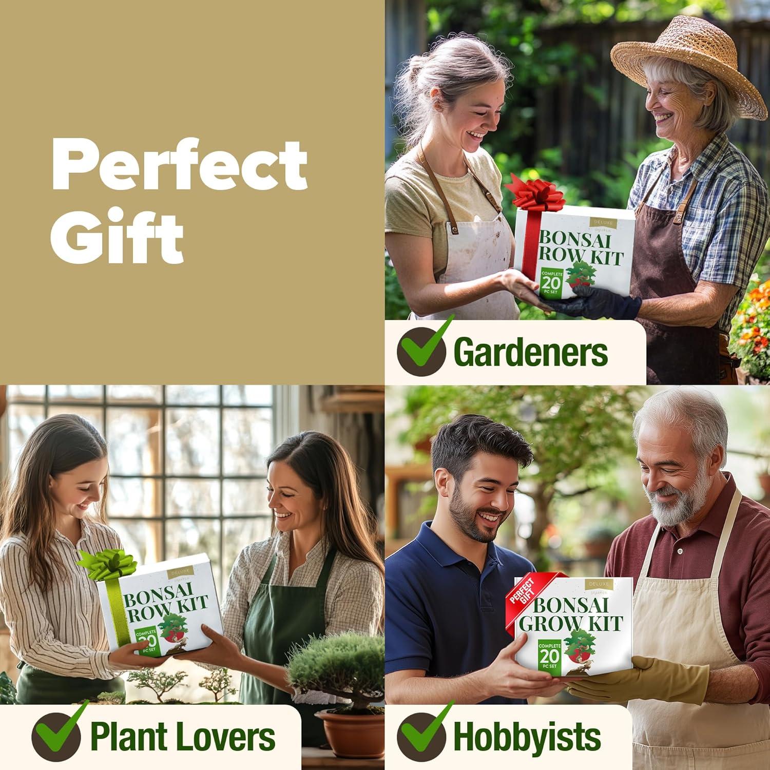 Kit Bonsai Home Grown - Cultiva 4 Especies en Casa