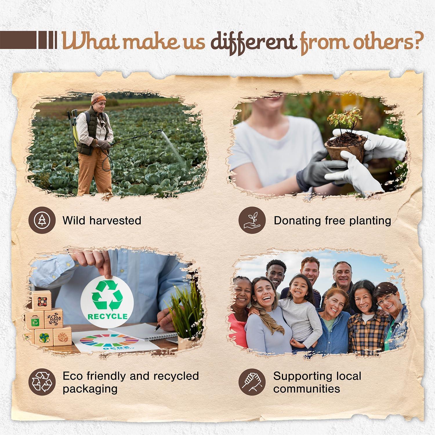 Varitas de Incienso Natural Sagrada Madre - Frankincense 22.86 cm