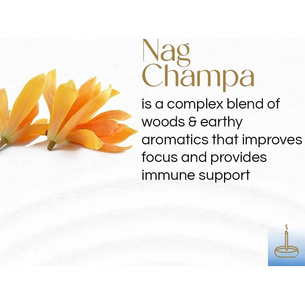 Incienso Gonesh Nag Champa - 80 Varitas de Carbón 25.4 cm