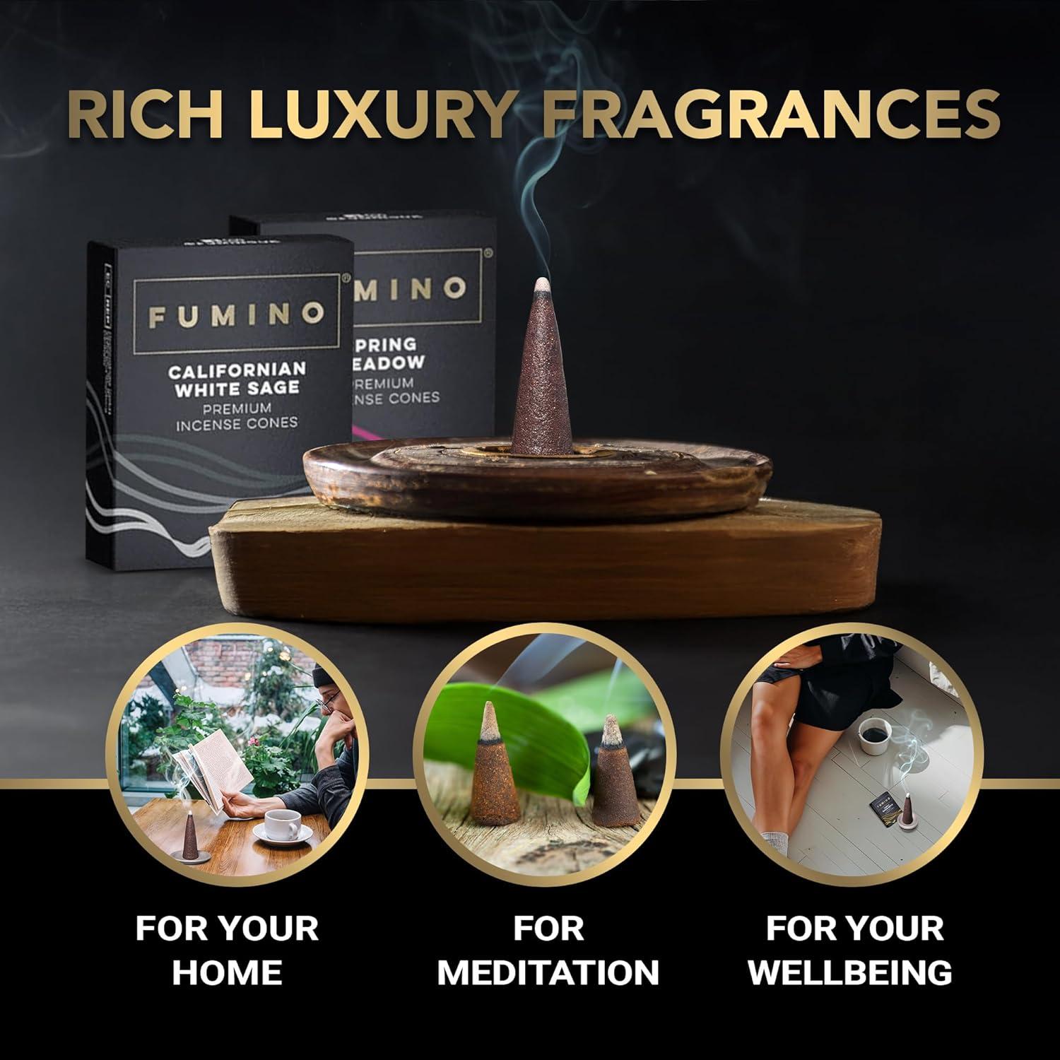 Incienso de Conos Fumino Aloe Vera de Jazmín 20 Unidades