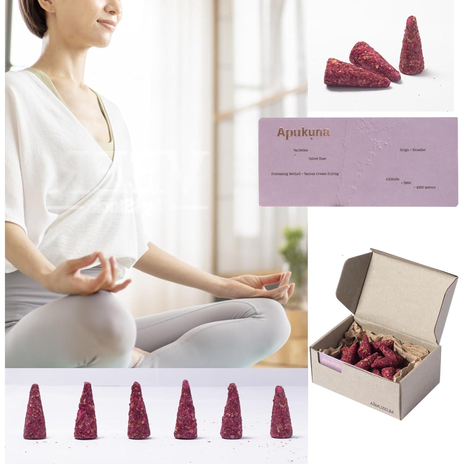 Conos de Incienso Natural Aiimuzeum 30 PCS - Rosa Silvestre