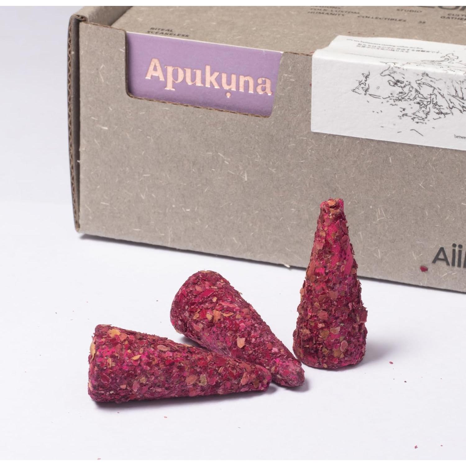 Conos de Incienso Natural Aiimuzeum 30 PCS - Rosa Silvestre