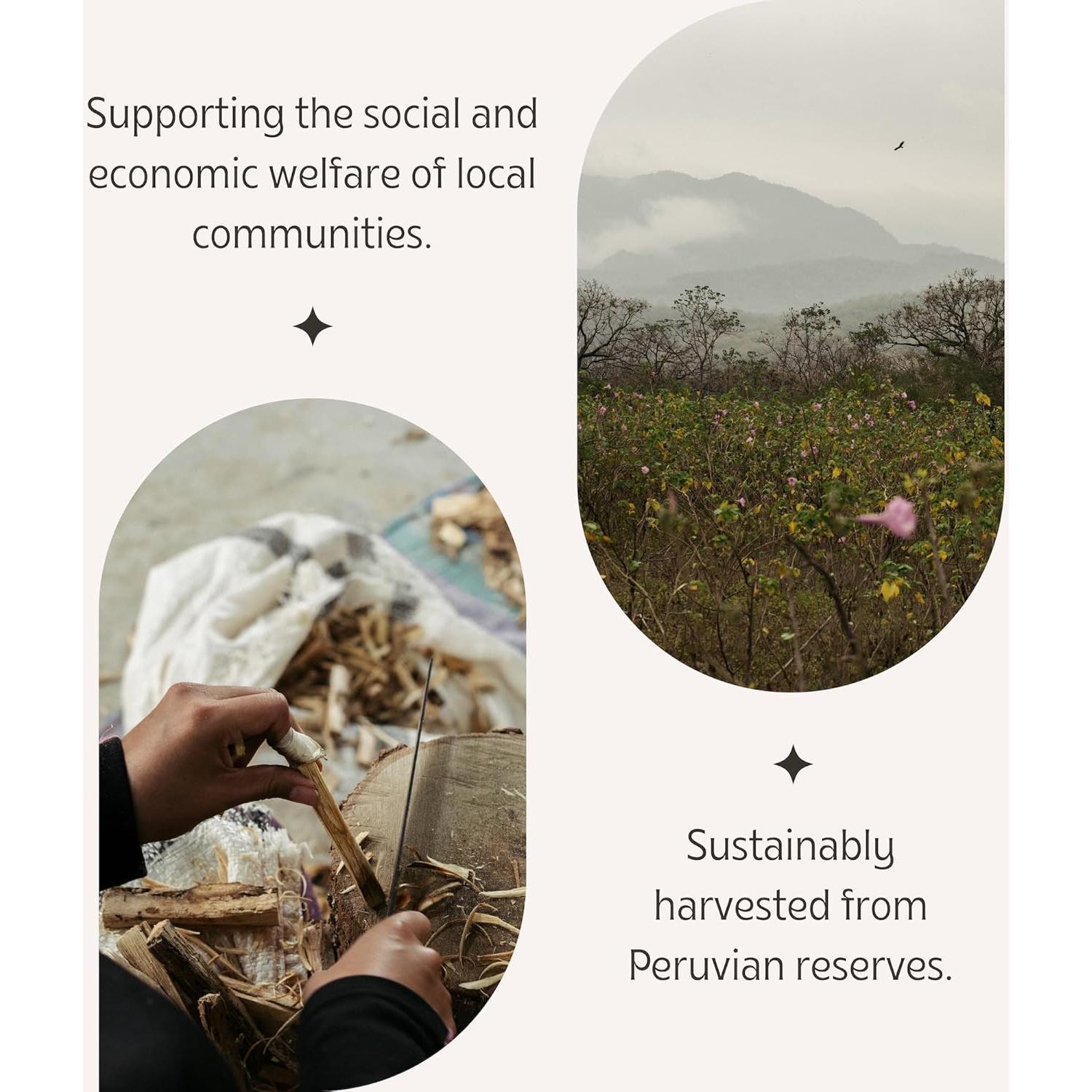 Incienso de Palo Santo Luna Sundara 6 Varitas 21cm Natural