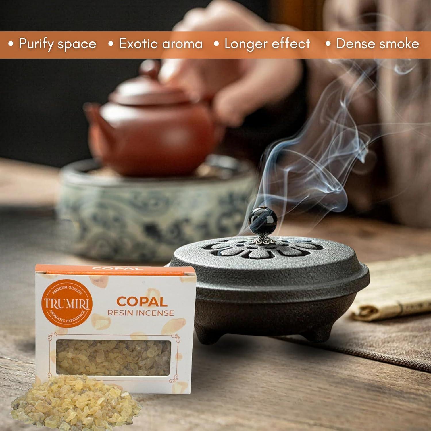Incienso de Resina de Copal TRUMIRI - 30g Natural