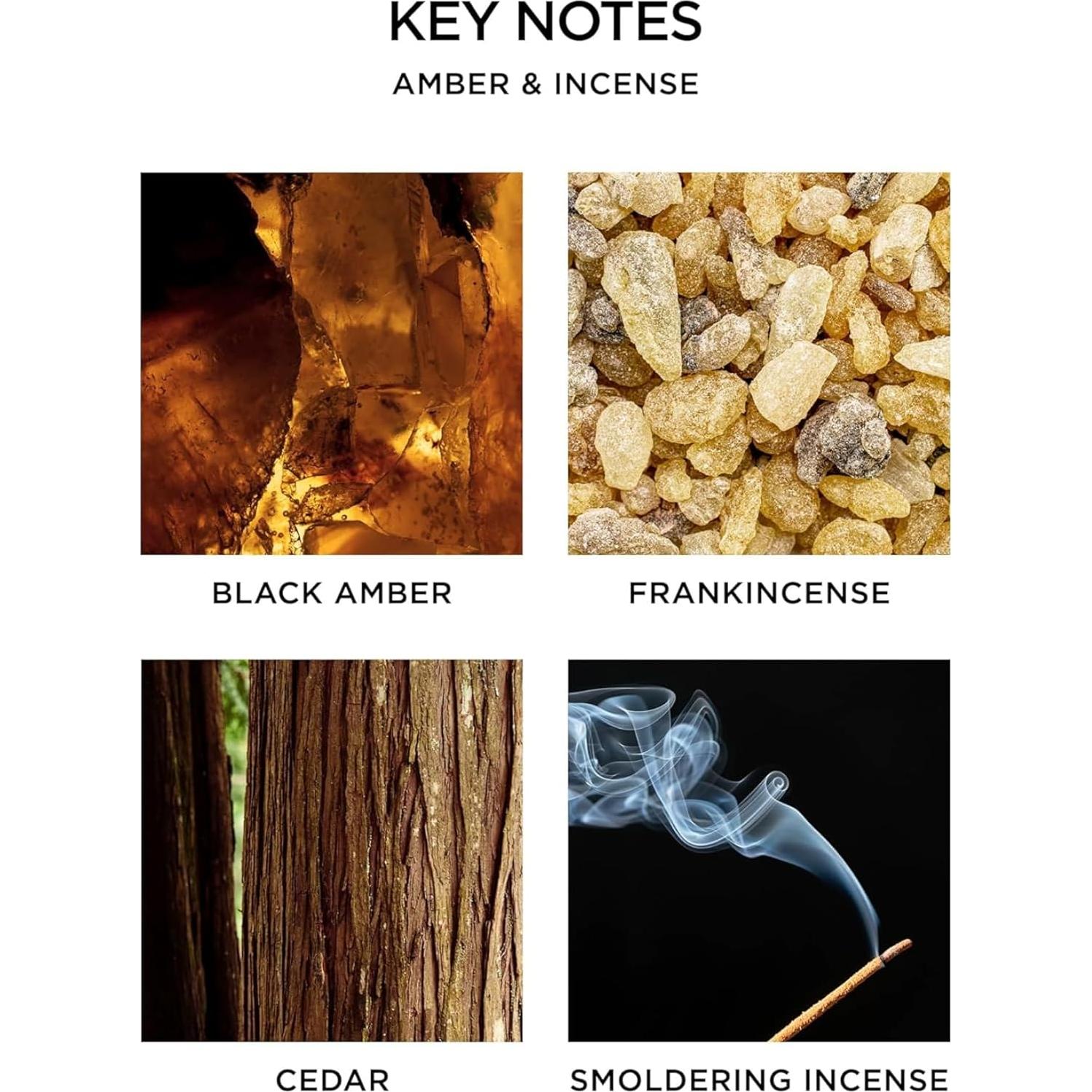 Vela Aromática NEST Nueva York Ámbar e Incienso 230 g