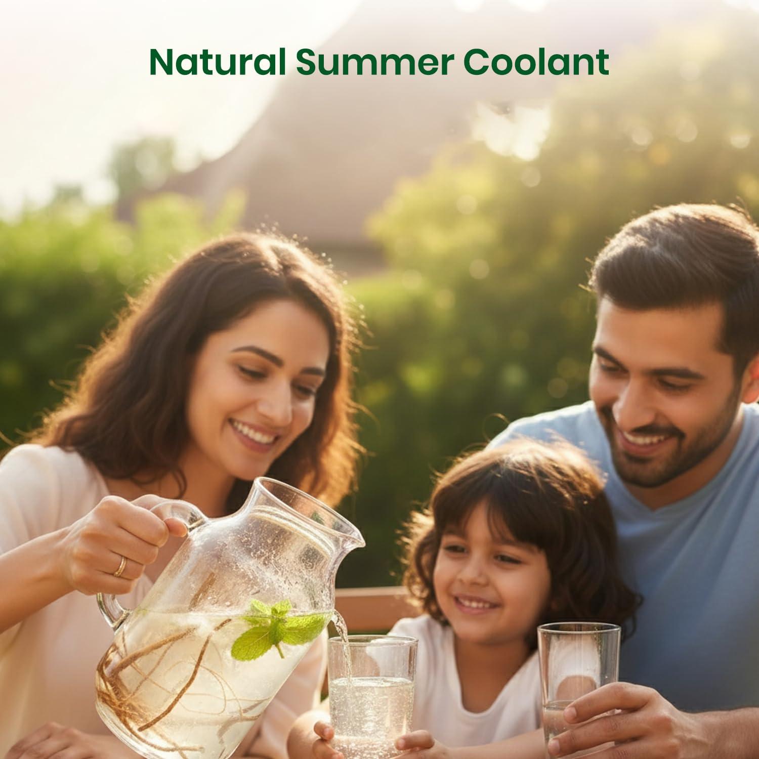 Raíces de Vetiver Secas Foodherbs 50g | Refrigerante Natural