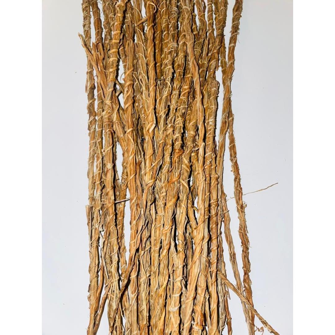 Raíces de Vetiver Africano Khamaré - 6 Tallos Grandes 30-40 cm - Detox Femenino