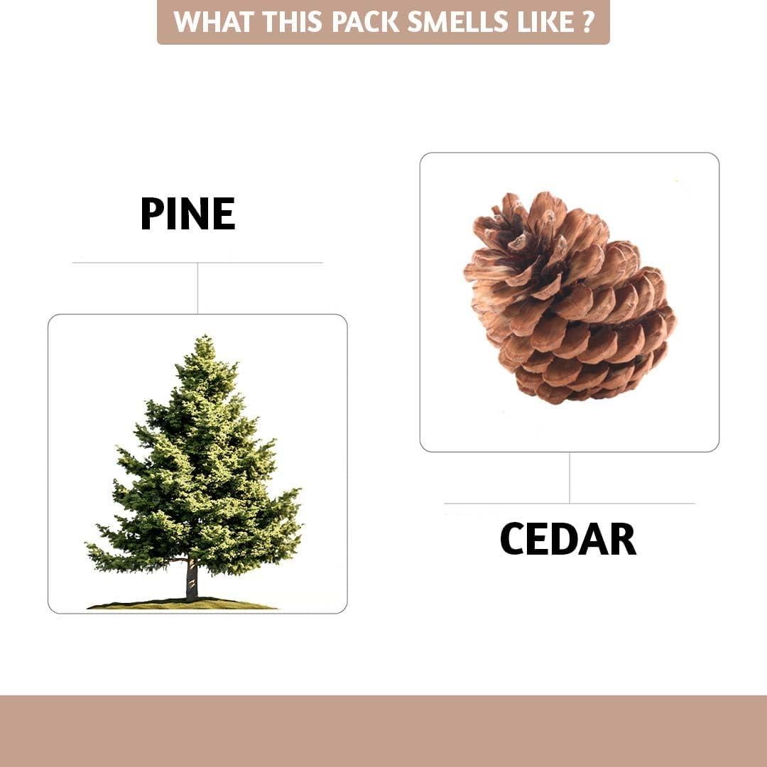 Conos de Incienso Folkulture Pino y Cedro - 20 Piezas Naturales