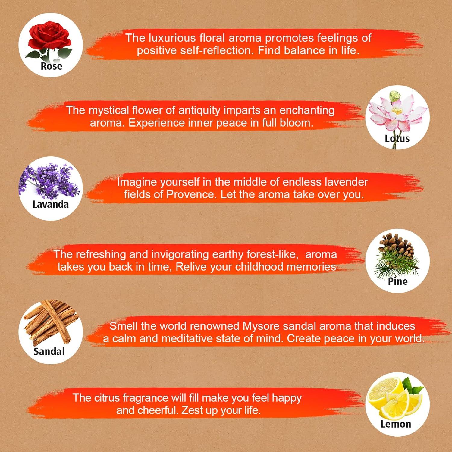 Paquete de 240 Varitas de Incienso USKICH - 12 Fragancias Naturales