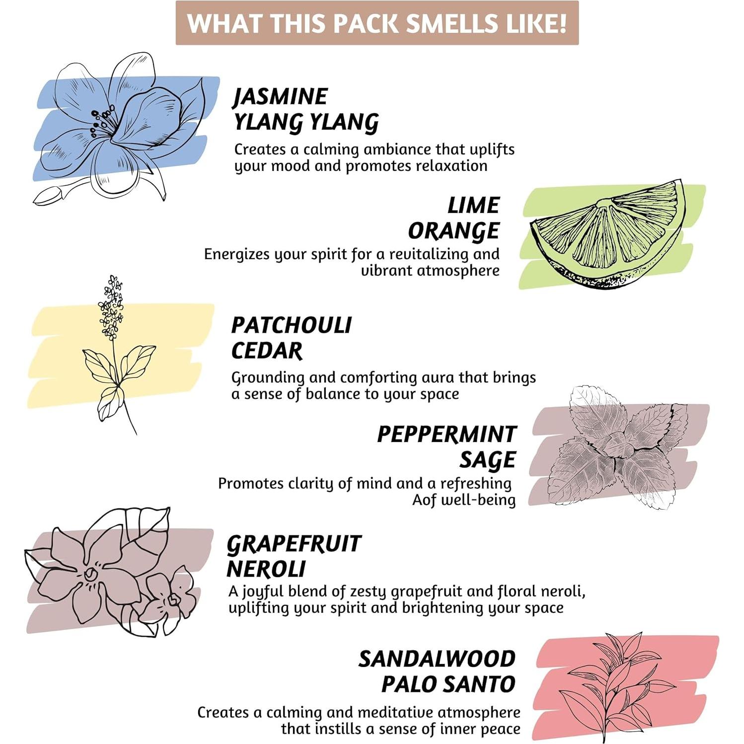 Palitos de Incienso Folkulture | Conjunto de 12 Aromas (240 Unidades)