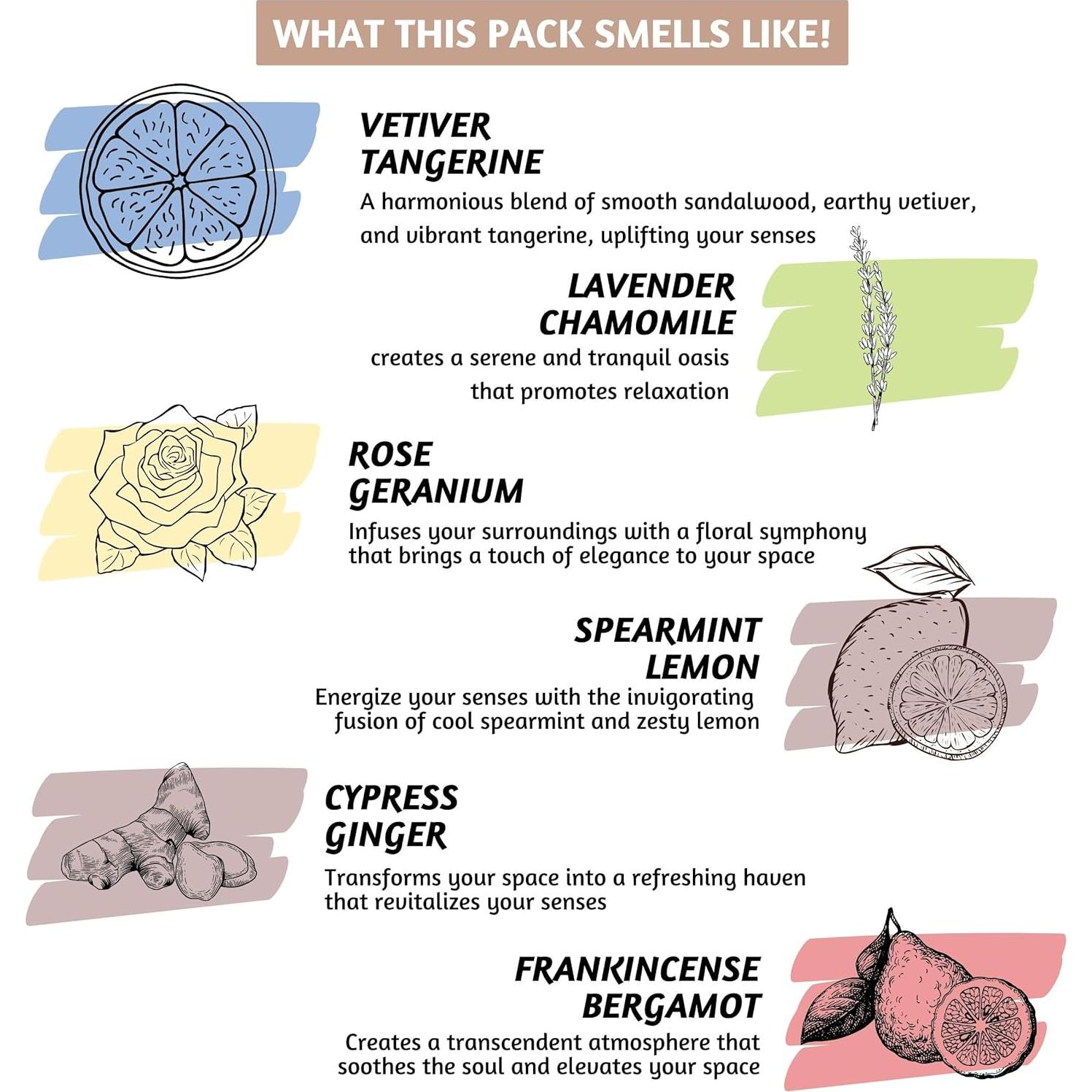 Palitos de Incienso Folkulture | Conjunto de 12 Aromas (240 Unidades)