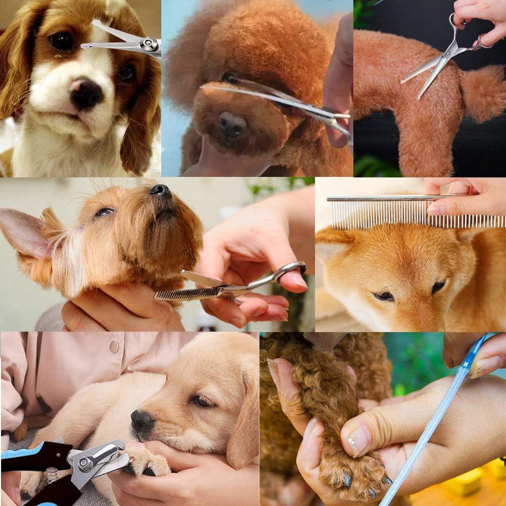 Kit de Tijeras para Perros Xinwang - Acero Inoxidable, 7 Piezas