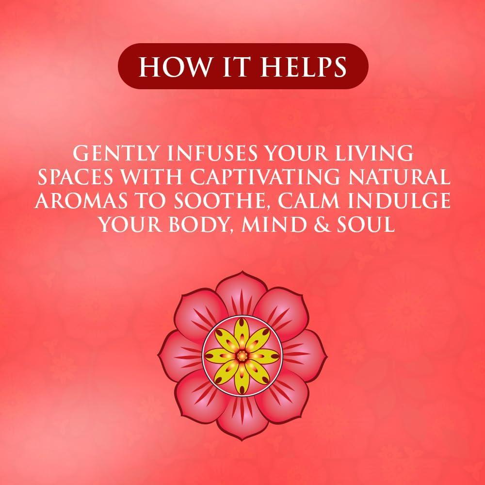 Varitas Aromáticas SPA CEYLON Cardamomo Rosa - 30 Unidades