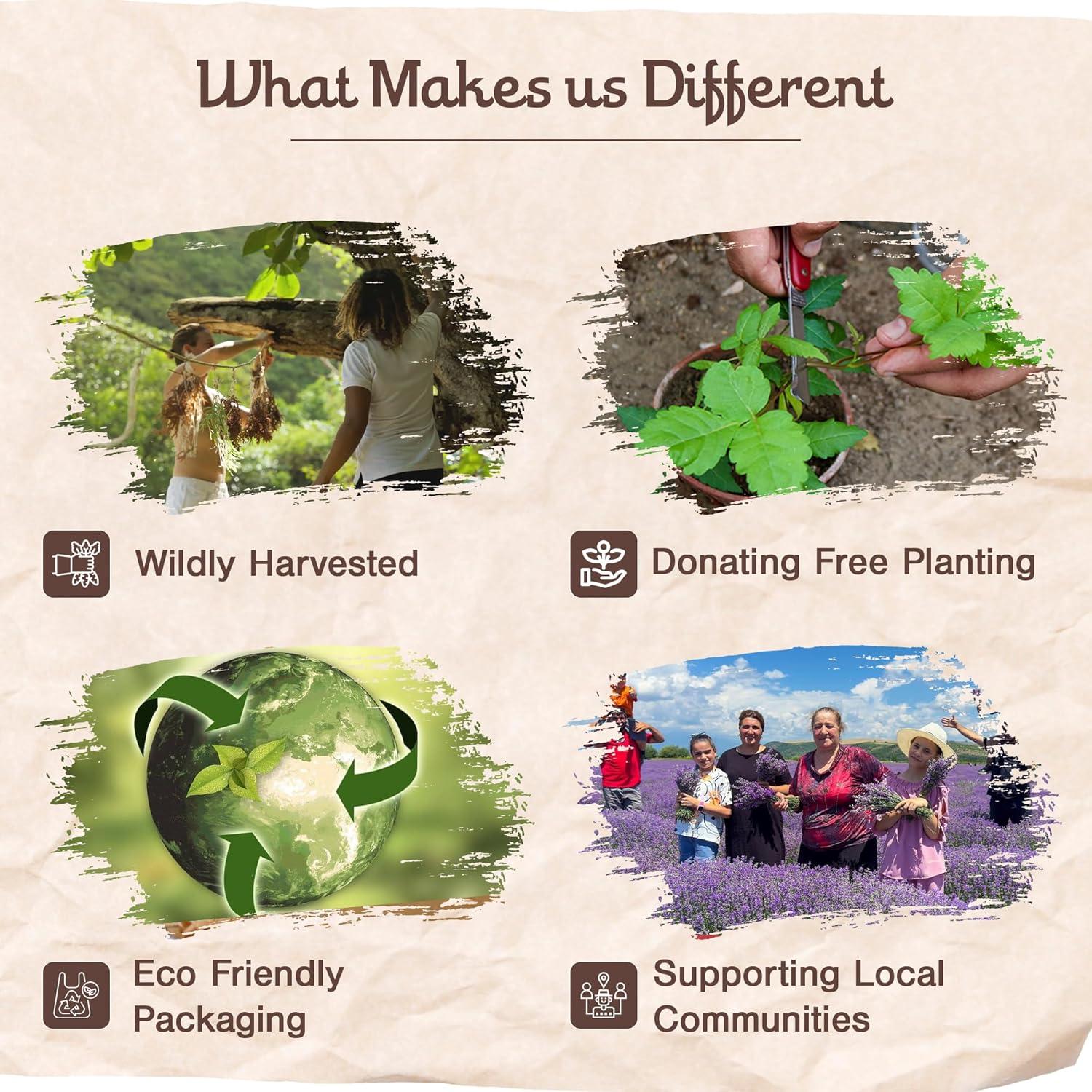 Varitas de Incienso Palo Santo Sagrada Madre 8pcs 23cm Ecológicas