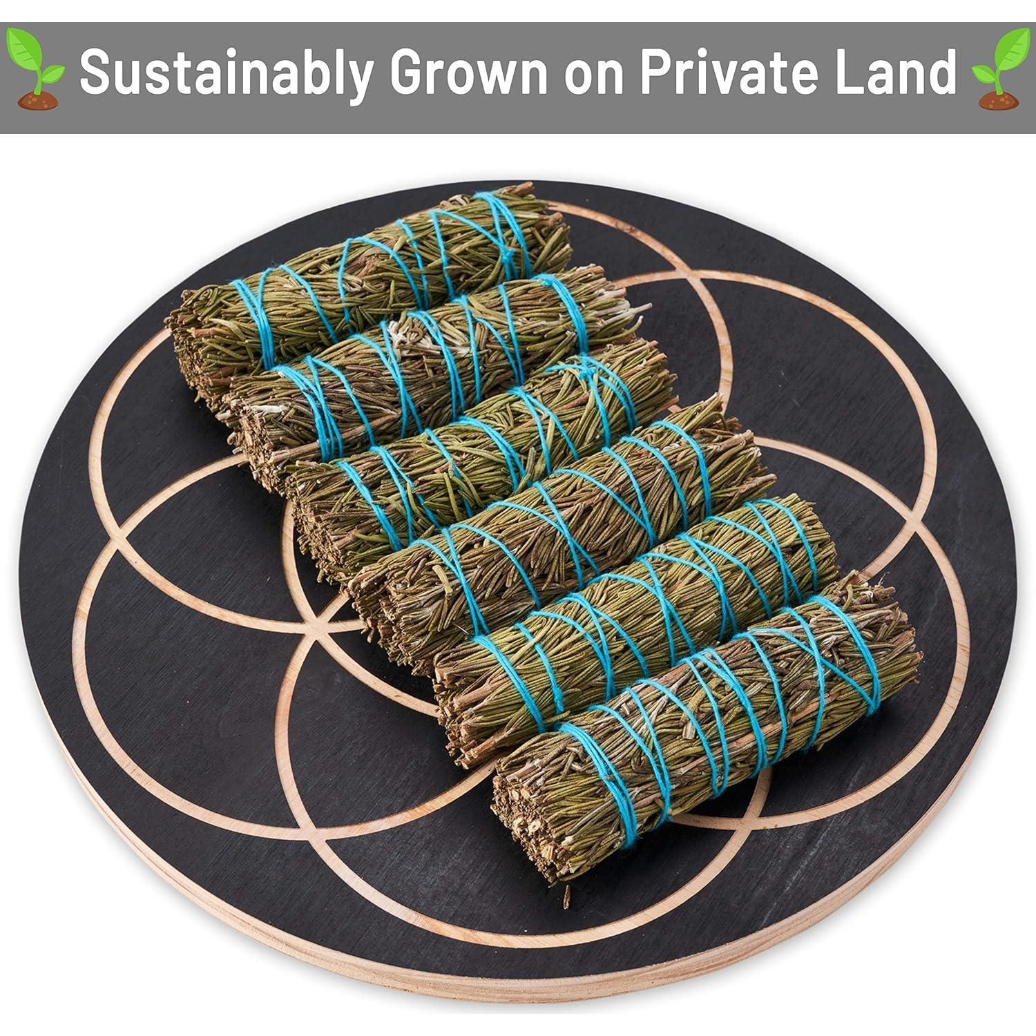 Palos de Salvia de Romero 10 cm - JL Local - 370 g