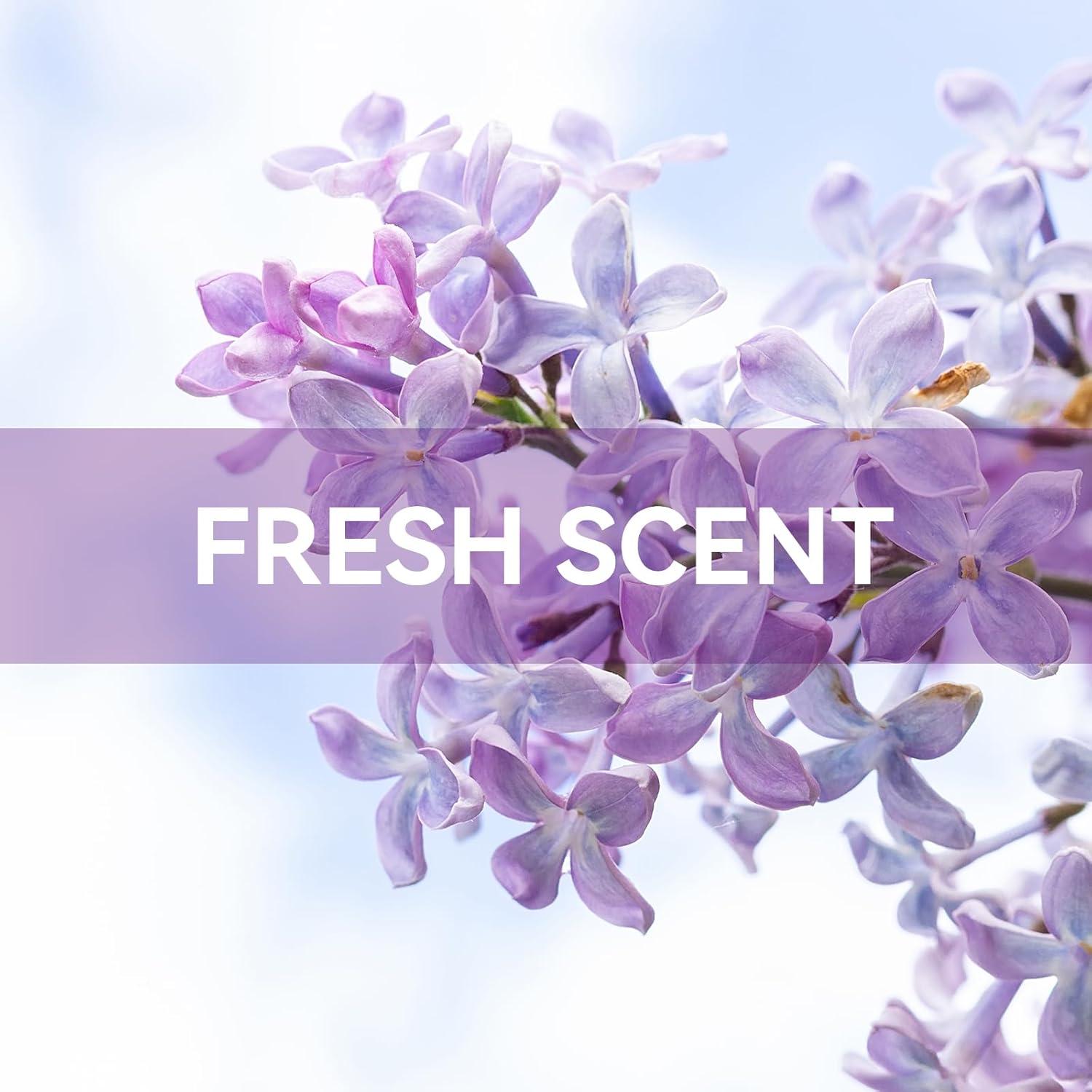 Bolsitas Aromáticas MYARO para Cajones y Armarios - 12 Unidades Lila