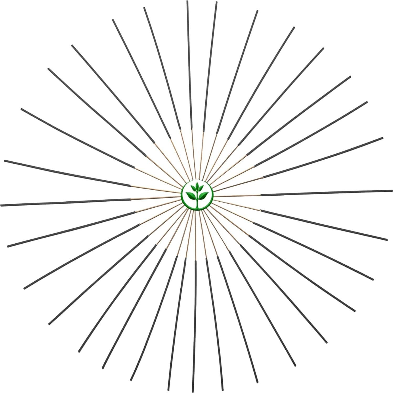 Incienso Coco Mango Plant Guru - 50 Varitas 11" Natural