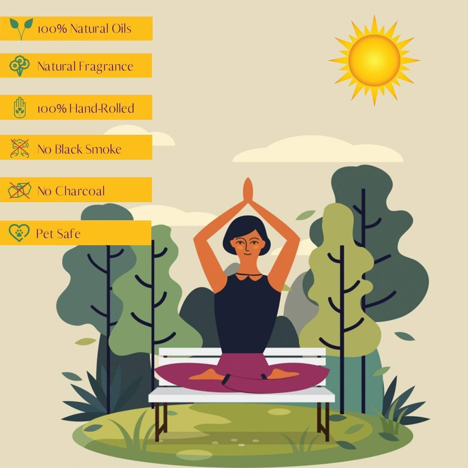 Varitas de Incienso Satya Nag Champa - Paquete de 12 Aromas 15g