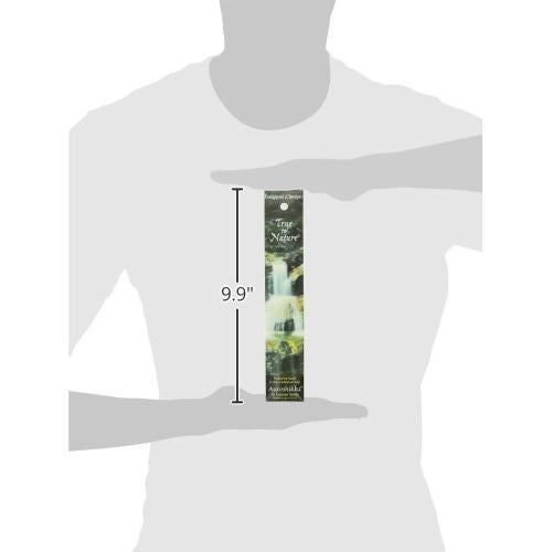 Incienso Auroshikha Frangipani Champa 10g Natural