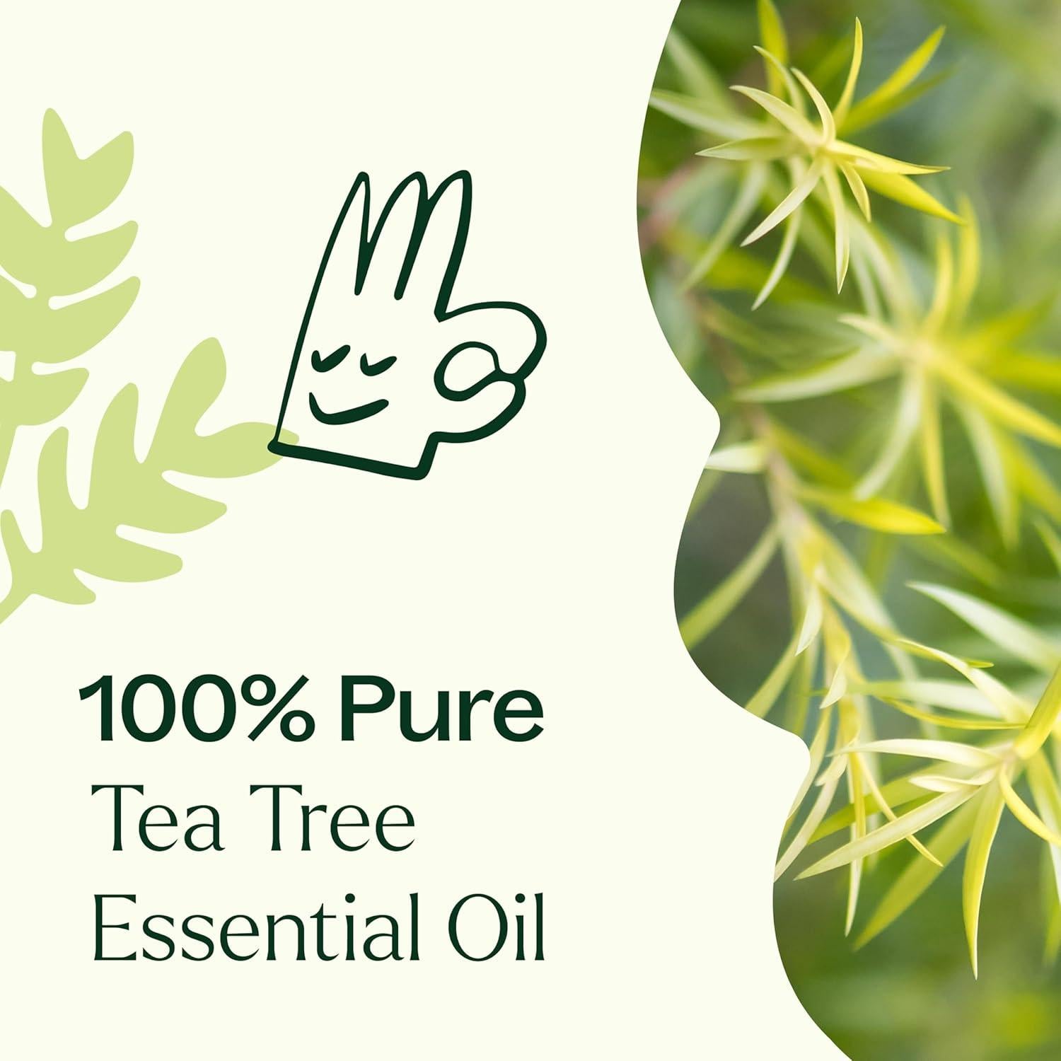 Aceite Esencial de Árbol de Té Plant Therapy 100 mL Puro