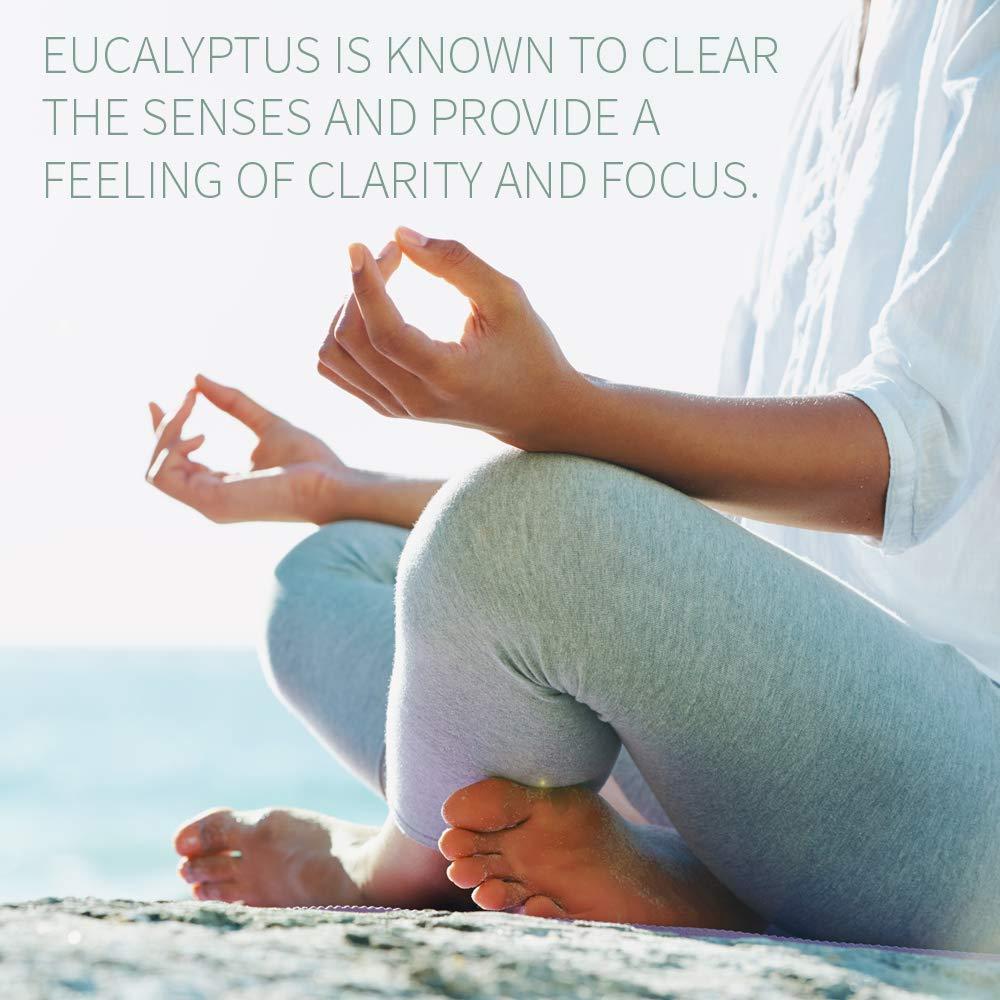 Aceite Esencial de Eucalipto 15 ml Jardín de la Vida Orgánico