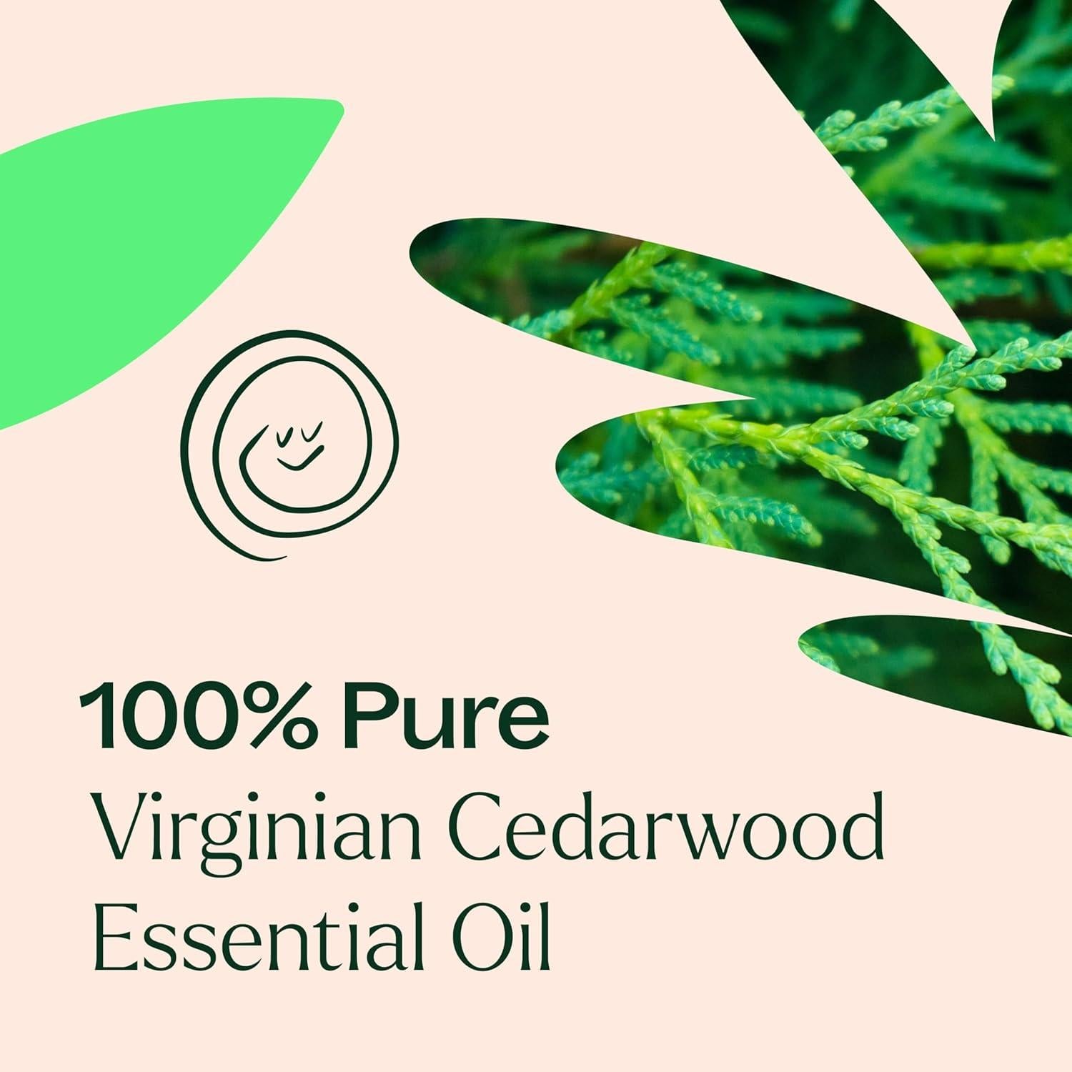 Aceite Esencial de Madera de Cedro Plant Therapy 10 mL 100% Puro