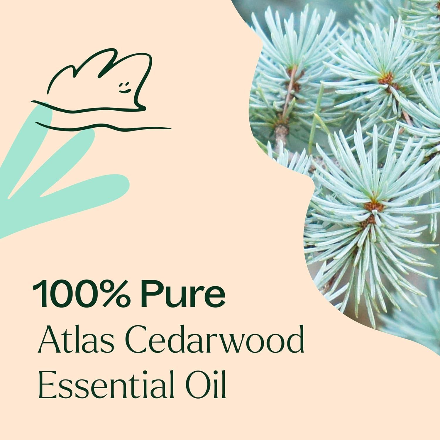 Aceite Esencial de Madera de Cedro Atlas Plant Therapy 30 mL 100% Puro