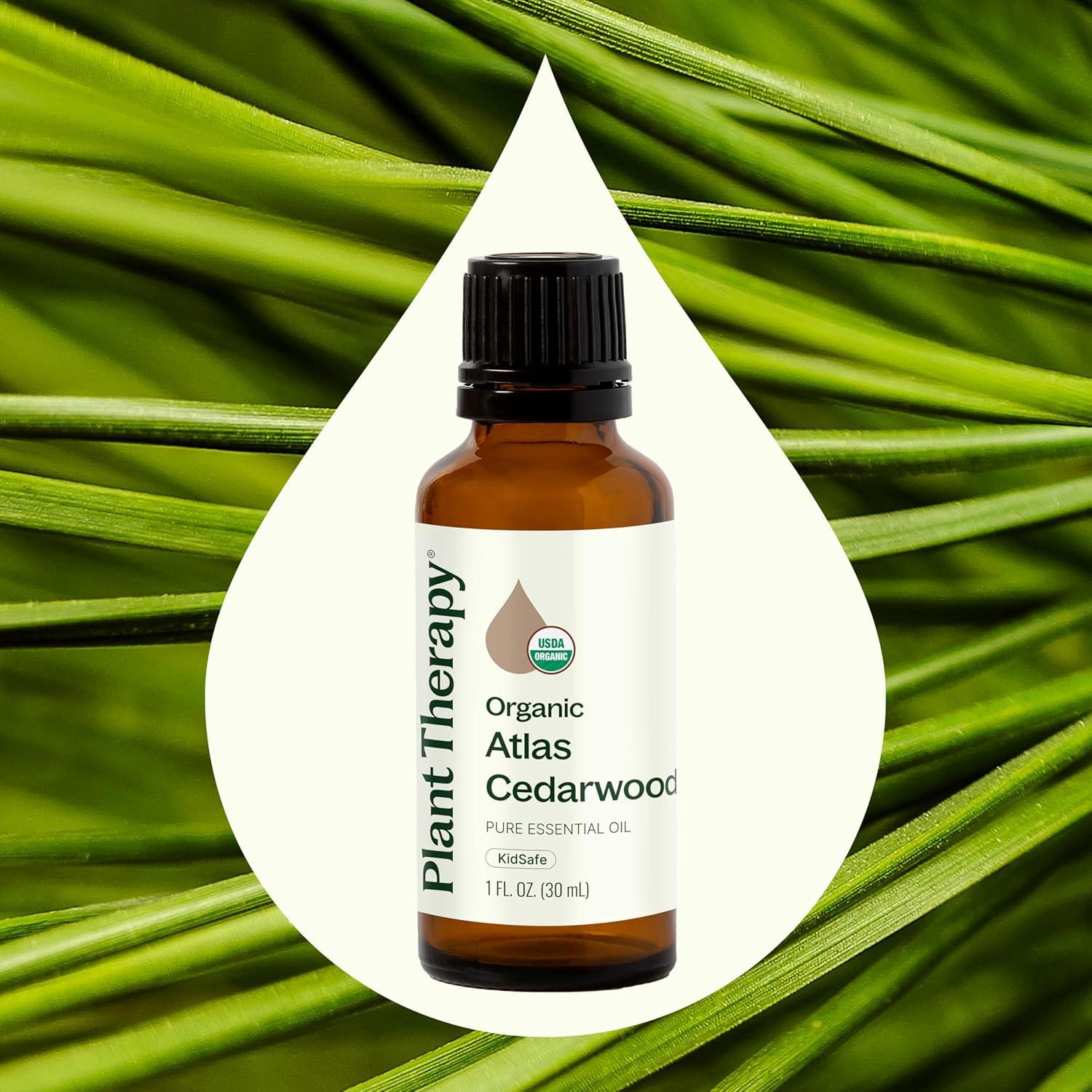 Aceite Esencial de Madera de Cedro Atlas Plant Therapy 30 mL