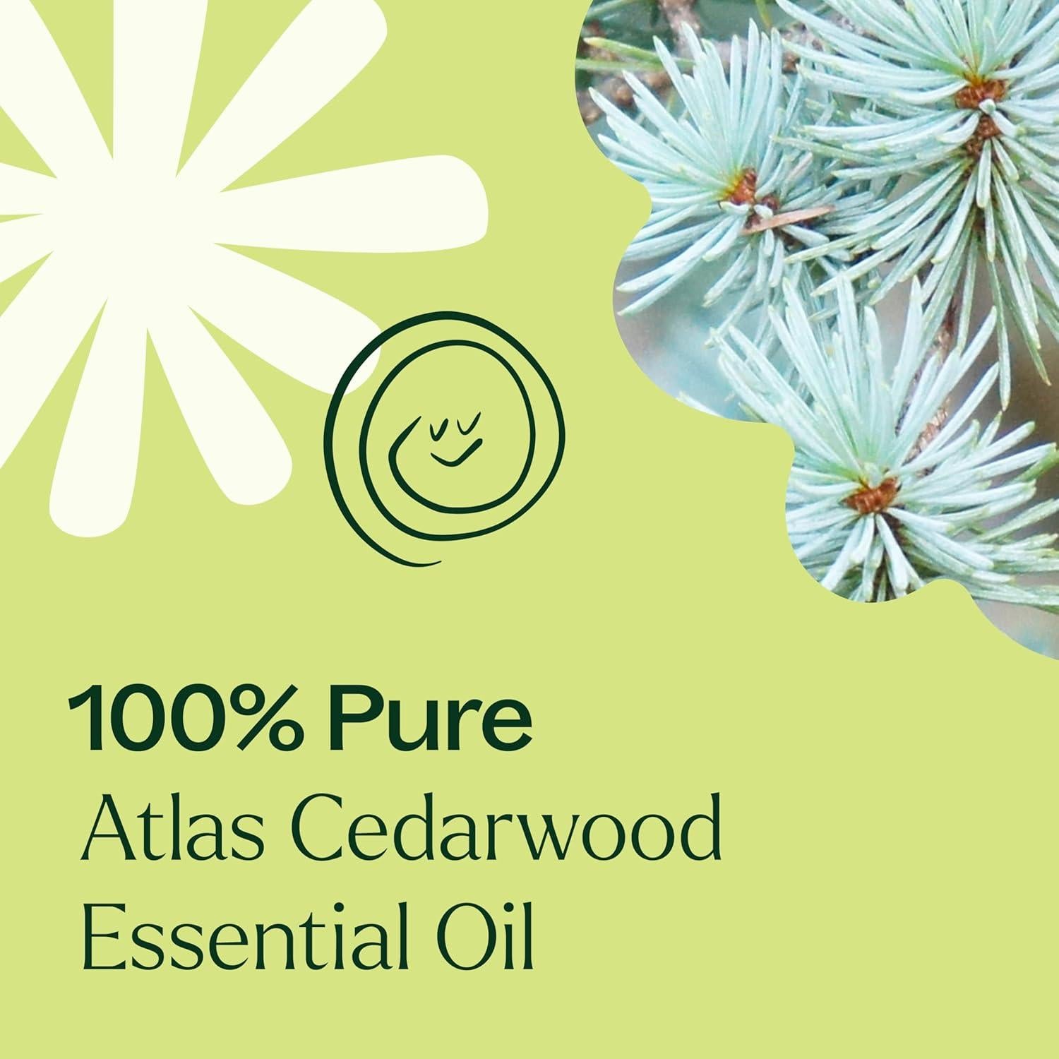 Aceite Esencial de Madera de Cedro Atlas Plant Therapy 30 mL