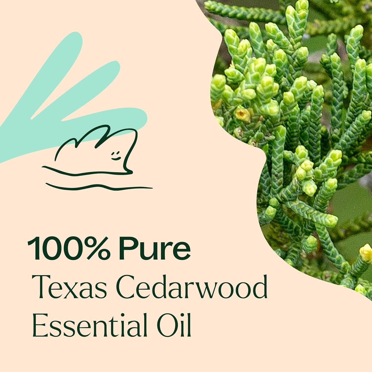 Aceite Esencial de Cedro de Texas Plant Therapy 30 mL 100% Puro